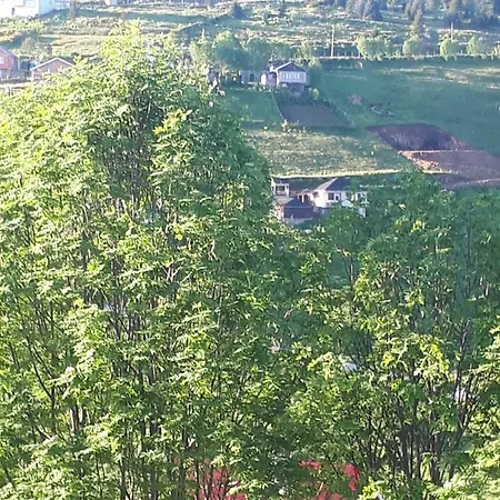 Шале Yayla Evi Трабзон